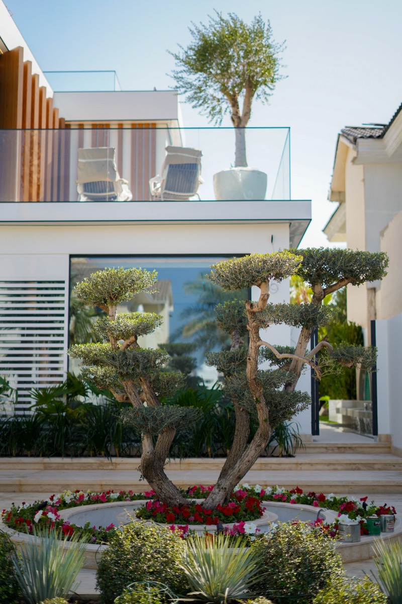 Villa garden landscaping