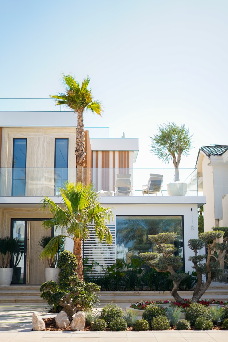 Villa exterior with palm trees